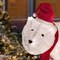 Haute Decor Mama and Baby Polar Bear (Set of 2) Easy Setup Outdoor Lighted Christmas Yard Decor with 50 Warm White LED Lights and Classic Red and White Hat and Scarf